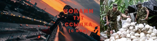 СК Алексеевка
