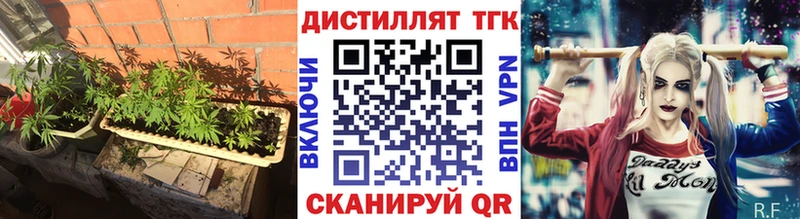 Купить закладки  Жиздра  ТГК жижа 