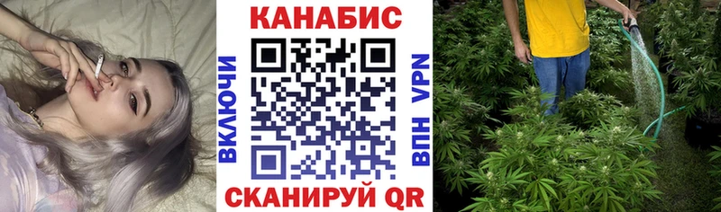 Марихуана семена Жиздра